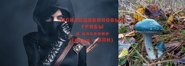 кокс Алексин